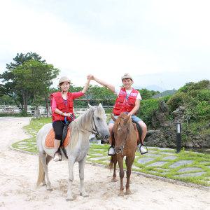 |제주|더마파크 장거리 승마+혜택몰빵|제주여행|승마체험|조랑말