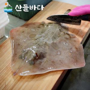 [산들바다] 국내산 손질 간재미 1kg 손질후 700g 가오리