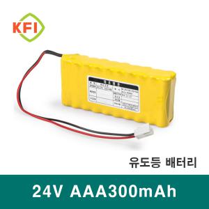 DC 24V aaa300mAh Ni-CD 소방용 예비 전원 배터리팩 비상구 유도등 화재수신기 배터리 충전지