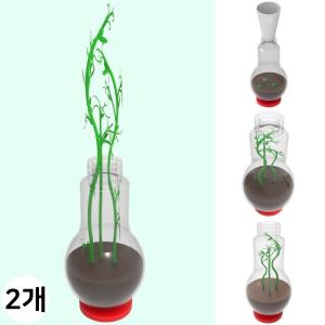 완두콩 새싹키우기 씨앗 발아기 식물 뿌리 줄기 성장과정 관찰 자연학습 (1인용 2세트)