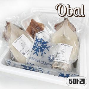 오발 원양산 반건조오징어550g 5마리