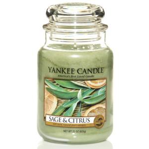 [양키캔들] 라지자 623g (자캔들 대) 세이지시트러스/YANKEE CANDLE/향초/양초