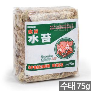 원예용 칠레 수태 75g - 천연수태 난 란 서양란 행잉 바스켓 산야초 관엽식물 모스 이끼 석부작 풍란 토피