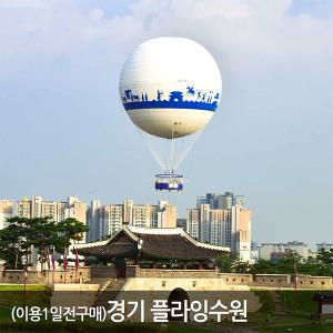 [경기] 플라잉수원