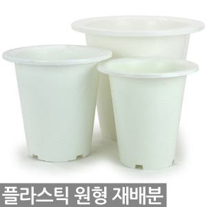 현애분 6~10호 - 화이트 플라스틱 화분 베란다화분 꽃화분 대형화분 플라스틱화분 검정화분 블랙 화이트 흰