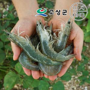 [공룡나라]팔딱새우 활새우/생새우 1kg 국내산양식/당일어획포장