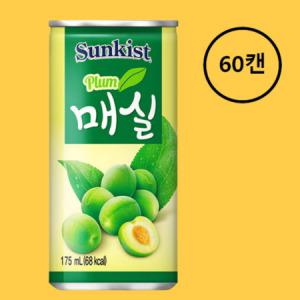 썬키스트 매실 175ml x 60캔 대용량 박스