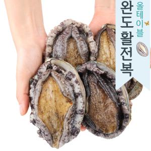 완도 활 전복 꼬마전복 35~40미 1kg 선물 세트