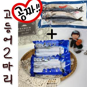 [해담]제주 도시락갈치500g 2팩 (2개구매시 자반고등어 드려요) 제주 실속형 갈치