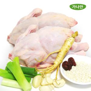 가나안식품 삼계탕용 영계닭 특대 2마리 백숙 통닭구이 개별 진공포장