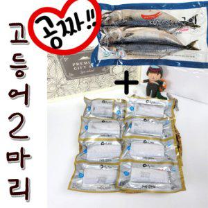 [해담]제주은갈치150g 2마리 + 제주자반고등어 2마리 선물세트