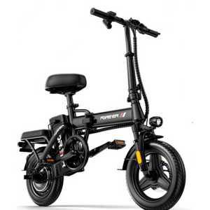 초경량 2인용 전기자전거 여성용 면허필요없는 EBIKE