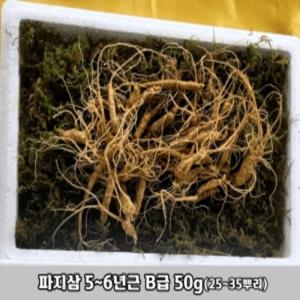 천생삼 산양산삼 못난이 파지삼 5~6년근 B급 50g(25~35뿌리) 산삼 산양삼 장뇌삼