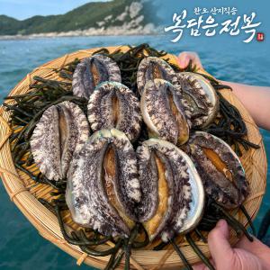 완도 활 전복 9-10미 1KG 선물세트 횟감용 보길도 살아서도착