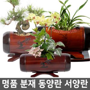 선물용 명품대나무옻칠화분 승진 취임용 분재 난 꽃 꽃배달  동양란 서양란 개업선물 생일선물 화분 화환