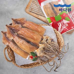 [바다원] 국내산 동해안 마른오징어 10미 500g