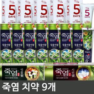 죽염 치약 160g X 9개/시린고/은강고/잇몸고/청출어람