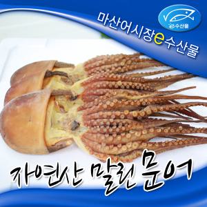 e수산물 말린문어  자연산 마른문어 국산 돌문어  제수용 약 건어물 40cm