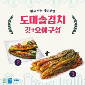 도미솔김치 갓김치3kg+오이통김치2kg