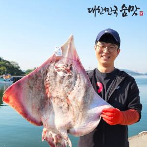 국산 전라도 신안 흑산도 홍어 목포 홍어애 1인분 250g 500g