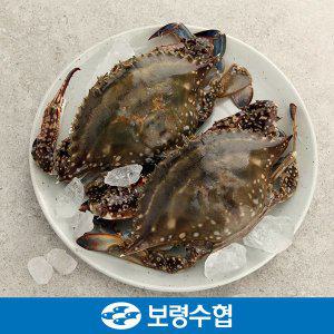 [보령수협] 국내산 봄 꽃게(급냉) 2kg(7-8미)