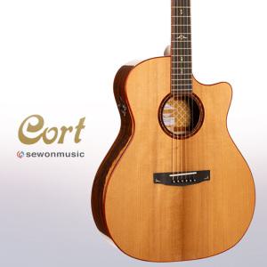 콜트 통기타 GOLD-A10 Cocobolo