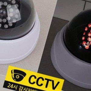 [기타]가짜카메라 모형CCTV 돔형 가짜 CCTV 모조카메라 LED 불빛 도난방지 카