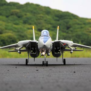 초보자용 Freewing 듀얼 80mm RC 비행기 제트 모델 F-14 Tomcat 가변 스윕 윙 키트 서보 포함