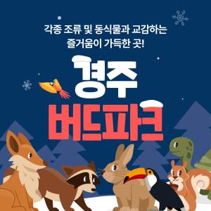 경주 버드파크 이용권(상시)