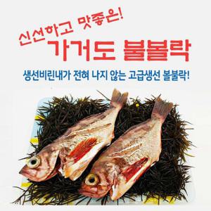 가거도 불볼락(열기) 뽈락 볼락살 손질 열기생선