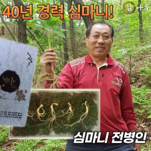 전병인의 삼나루 산양산삼 산양삼 장뇌삼 8년근 10뿌리 세트