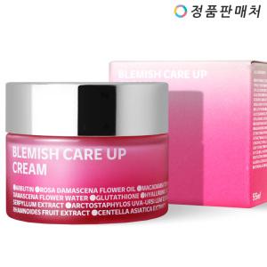 아이소이 블레미쉬 케어 업 크림 55ml (잡티흔적크림)