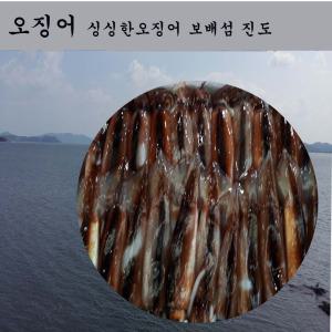 오징어 1kg 4-5마리 국산 생물오징어급냉