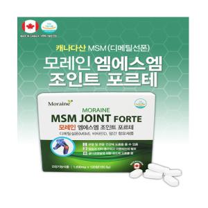 MORAINE 모레인 MSM 조인트 포르테 120정 4개월분 엠에스엠 관절영양제 연골영양제