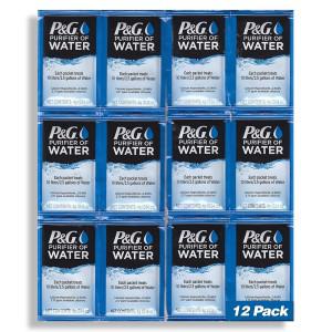 PG피앤지 정수패킷 정수제 물 정화제 분말 Purifier of Water Packets 12개세트 1팩