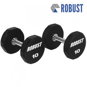 Robust 로버스트 고급 아령 10kg 1개