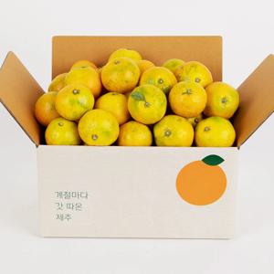 깨비농원 제주 조생감귤(2S-M) 3kg 5kg 9kg