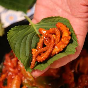 GBROWA 하남 맛집 직화 급냉 매운 핫 앙념 원팩 3분 낙지 볶음 250g x 3팩 외 쭈꾸미 볶음