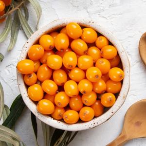 국내산 비타민나무 열매 생과 주스용 6시내고향 천연비타민 Sea buckthorn