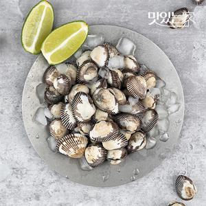 산지직송 전남 여수 싱싱한 새꼬막 2kg 3kg 外 키로별