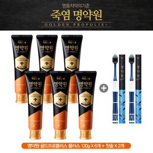 LG생활건강 명약원 골든프로폴리스 치약 120g 6개 + 칫솔 2개