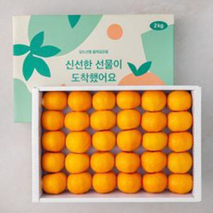 GAP 올레길 당도선별11brix 감귤세트, 2kg(로열과), 1박스