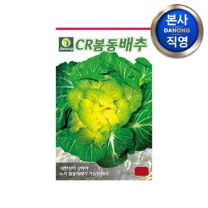 CR봄동 배추 씨앗 20g . 채소 김장 가을 텃밭 파종 결구 월동 씨 종자