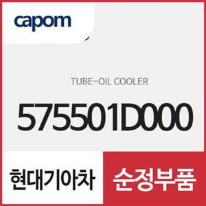 오일 쿨러 튜브 (575501D000) 카렌스