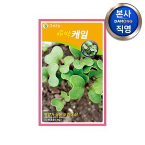 새싹 케일 씨앗 12g . 무소독 채소 수경 재배 씨 종자.