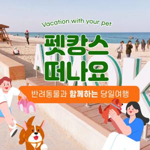 |애견동반_펫투어|강릉 안목항커피거리+정동진모래시계공원+시간박물관 반려동물펫투어당일국내여행 11/23