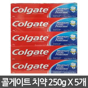 콜게이트 그레이트 레귤러 치약 250g X 5개 / 대용량