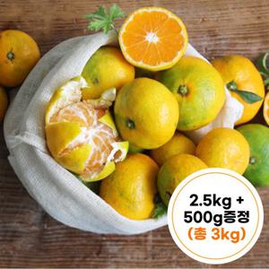 24년 제주 조생 노지감귤 2.5kg+500g증정 총3kg(2L~L)