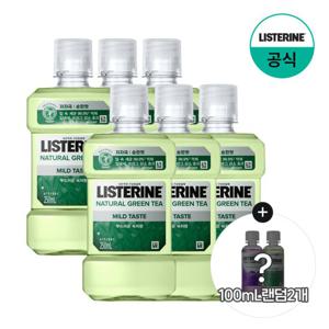 [리스테린] 그린티 마일드 250ml x6