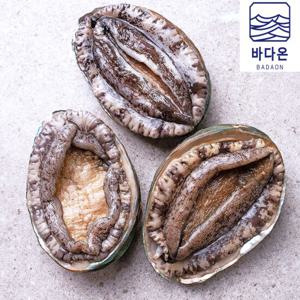 [바다온]완도활전복 10-11미 1kg(마리당90g내외) [산소팩 무료배송]